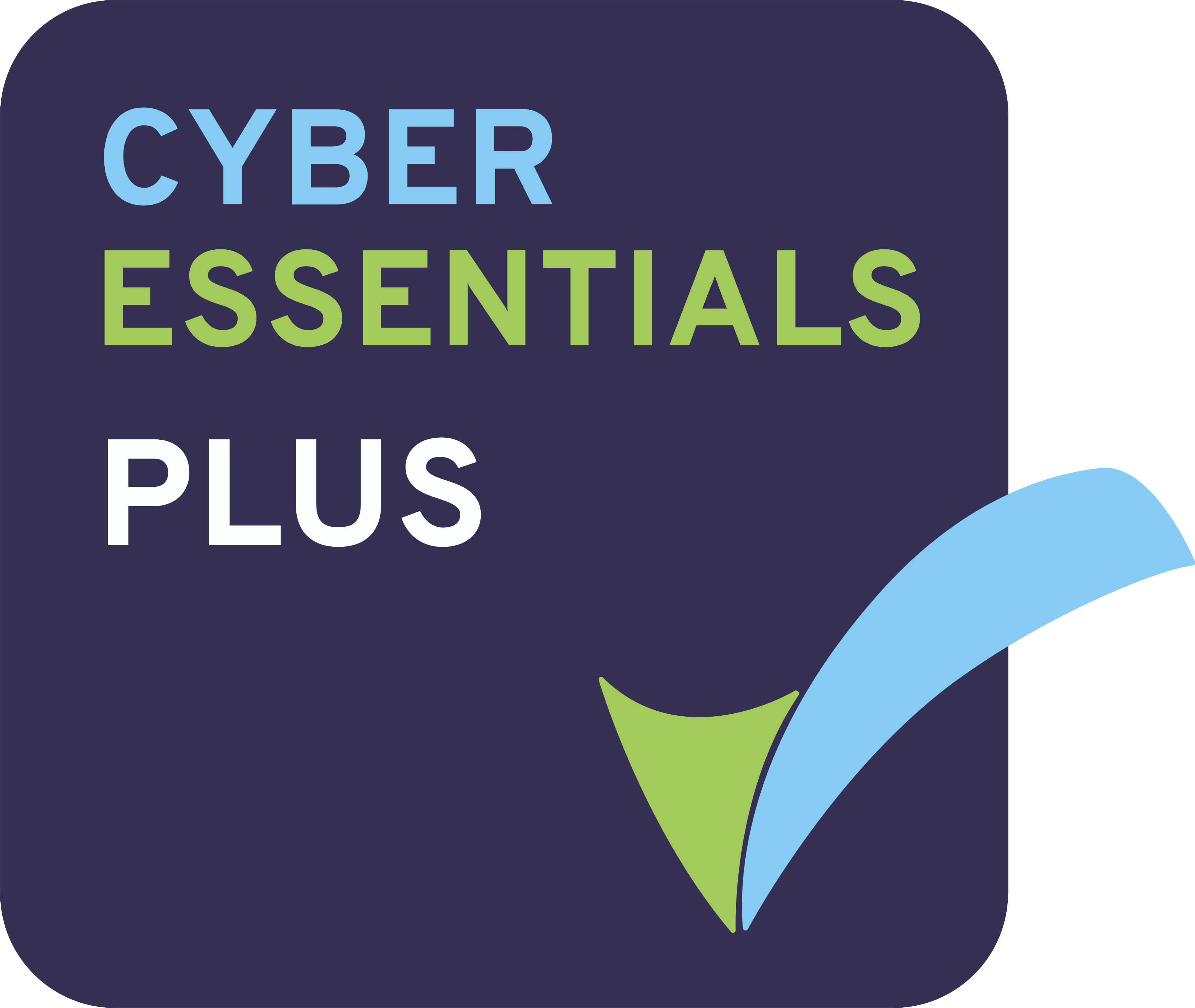 Cyber Essentials (PLUS) Badge (High Res)